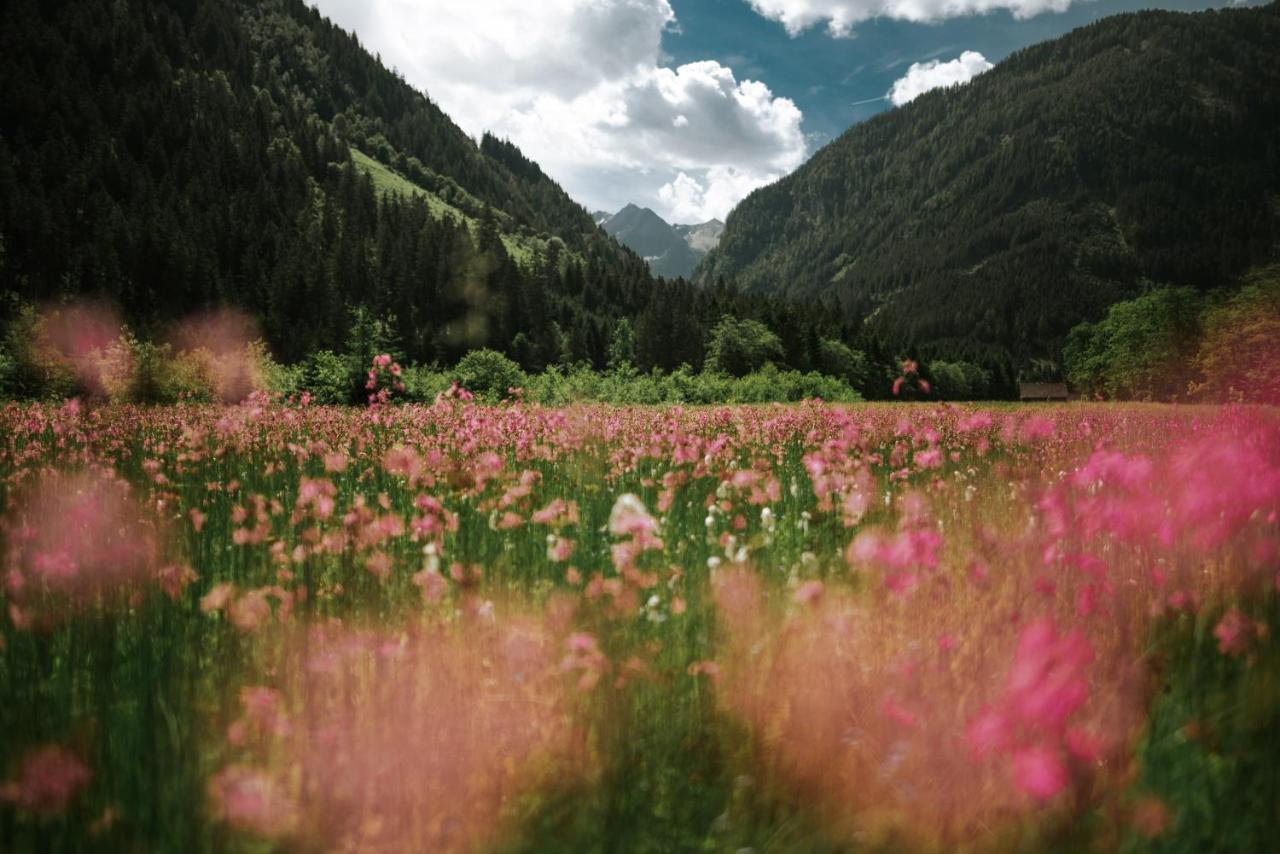 Alma&Antonia Daire Schladming Dış mekan fotoğraf
