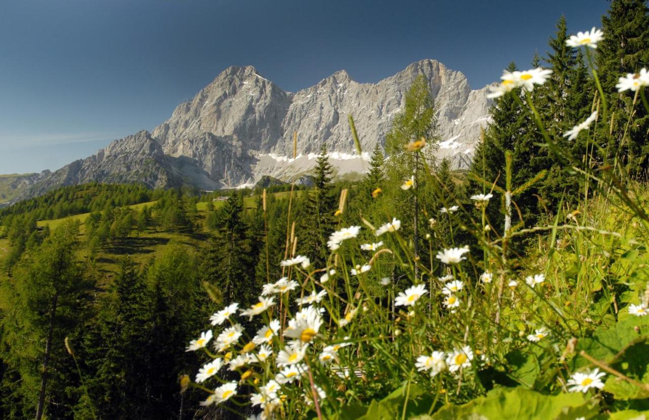 Alma&Antonia Daire Schladming Dış mekan fotoğraf